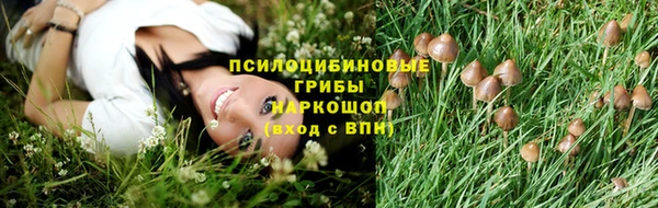 прущий лед Переславль-Залесский